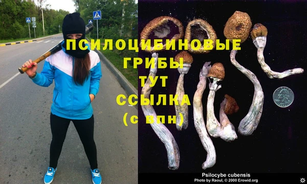 мдпв Пестово