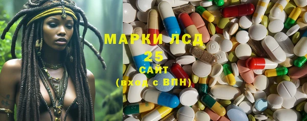 мдпв Пестово