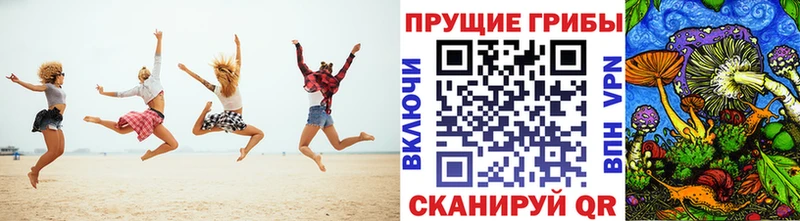 Псилоцибиновые грибы мухоморы  Ижевск 